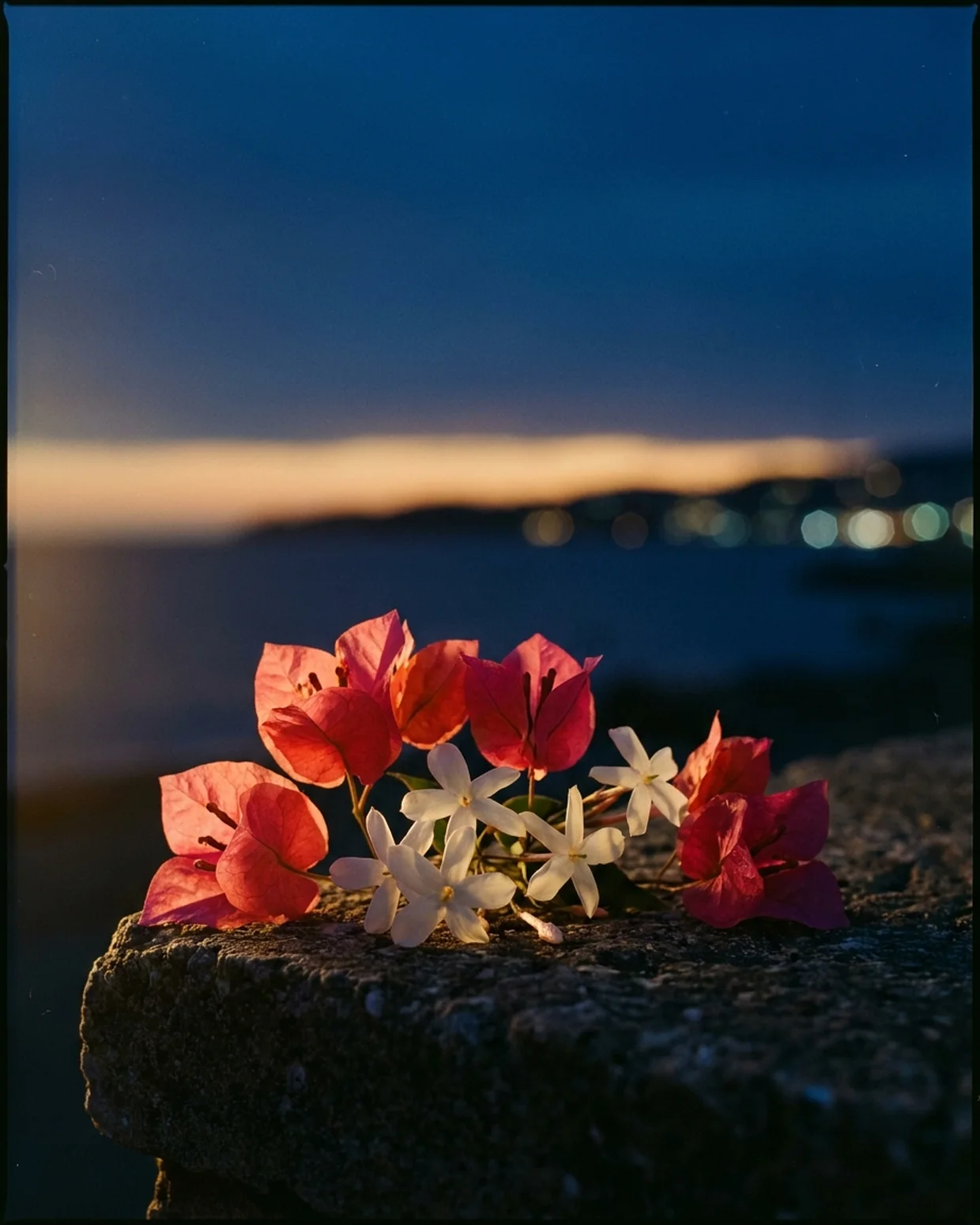 Bougainvillea und Jasmin auf dunklem Stein zur blauen Stunde